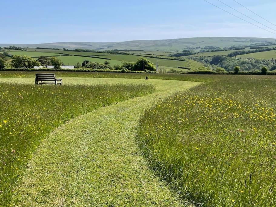 Shearwater, Moor And Sea Holidays, Lovely Tranquil Space Between Exmoor And The North Devon Coast ลินตัน ภายนอก รูปภาพ